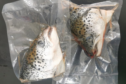 Salmon Steak - Premium Grade Atlantic